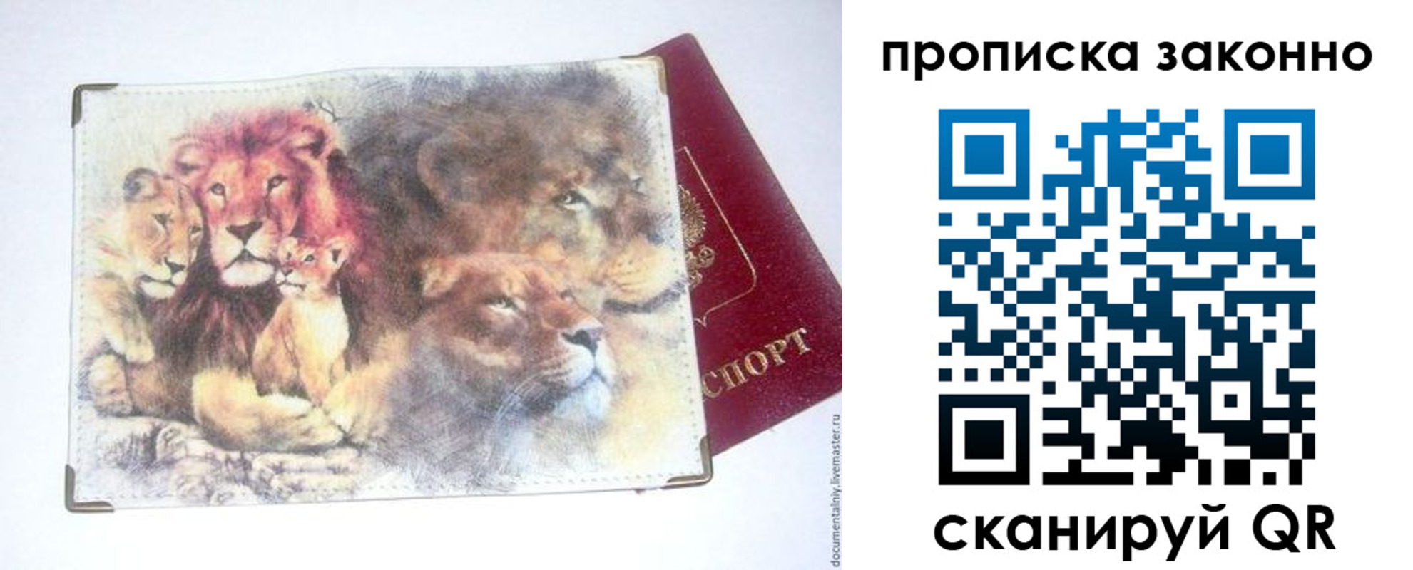прописка от собственника в Николаевске